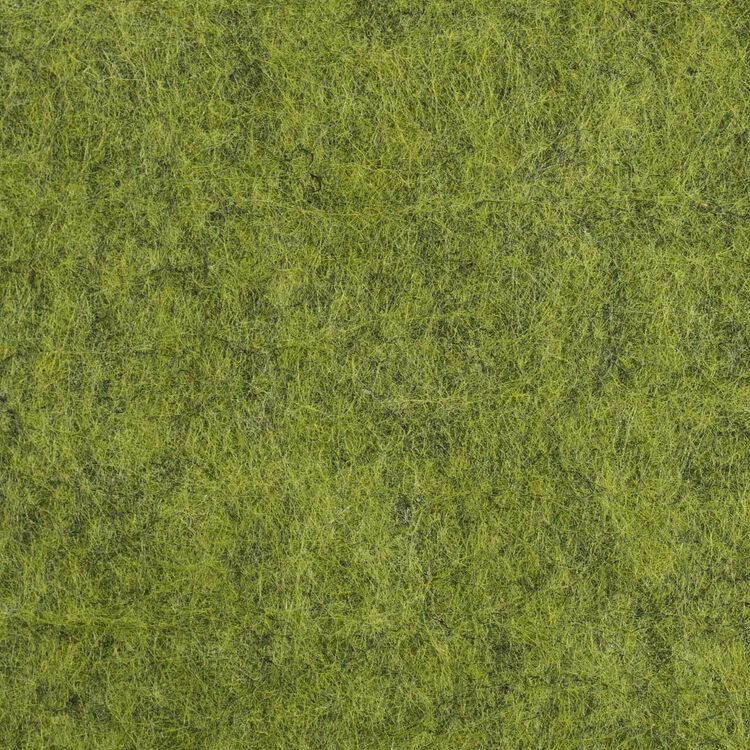 Close-Up View of Green Grass Texture, Suitable for Backgrounds or Wallpaper