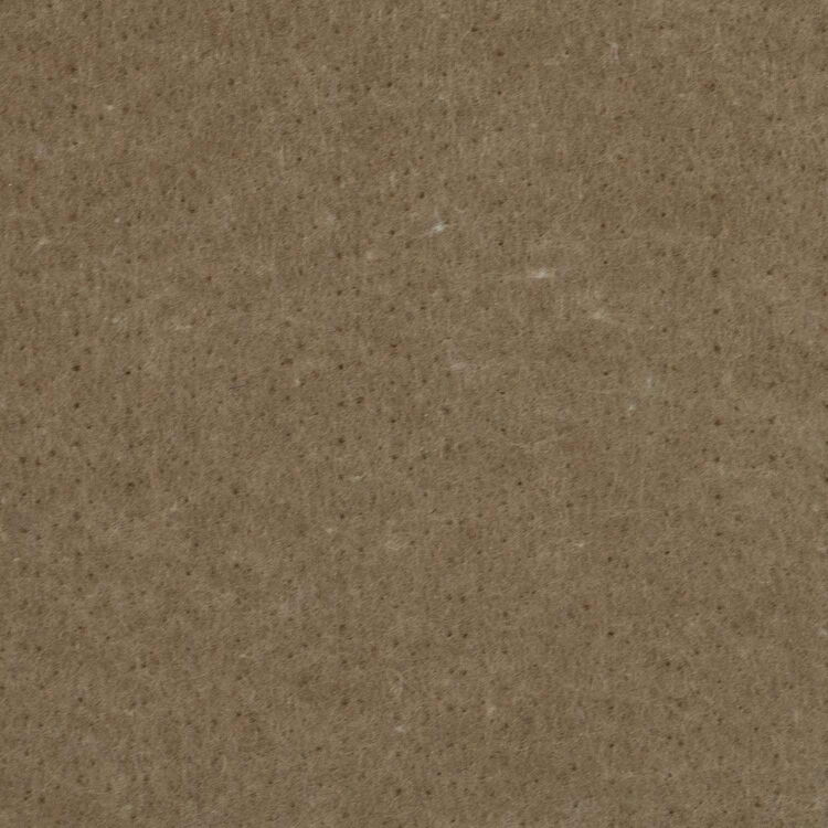 Light Brown Paper Texture with Visible Fibers and Minimal Marks