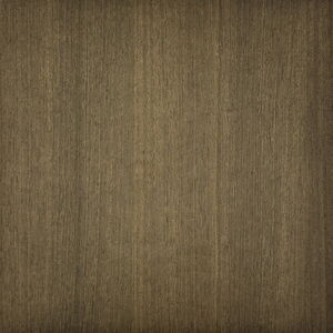 Close-Up Image of Textured Wood Grain in Neutral Tones