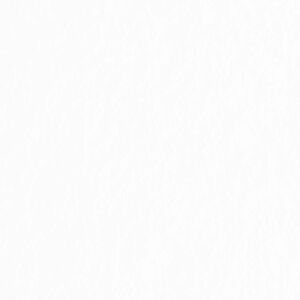 A Plain White Background Suitable for Various Design Layouts