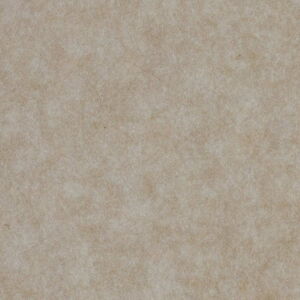 Neutral Textured Background Suitable for Various Design Needs