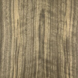 Close-Up of Abstract Wood Grain Texture in Monochrome