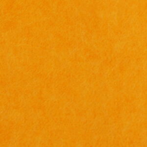 Close-Up of an Orange Textured Surface with Soft Details