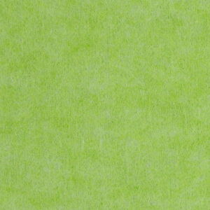 Close-Up of a Green Textured Surface with Subtle Variations