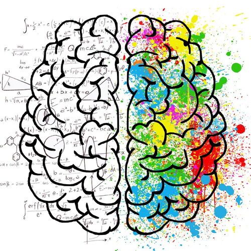 Artistic Representation of a Brain Divided into a Black and White Mathematical Left Side and a Colorful, Creative Right Side