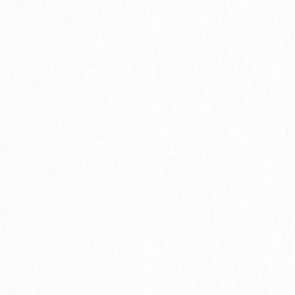 A Plain White Background Suitable for Various Design Layouts