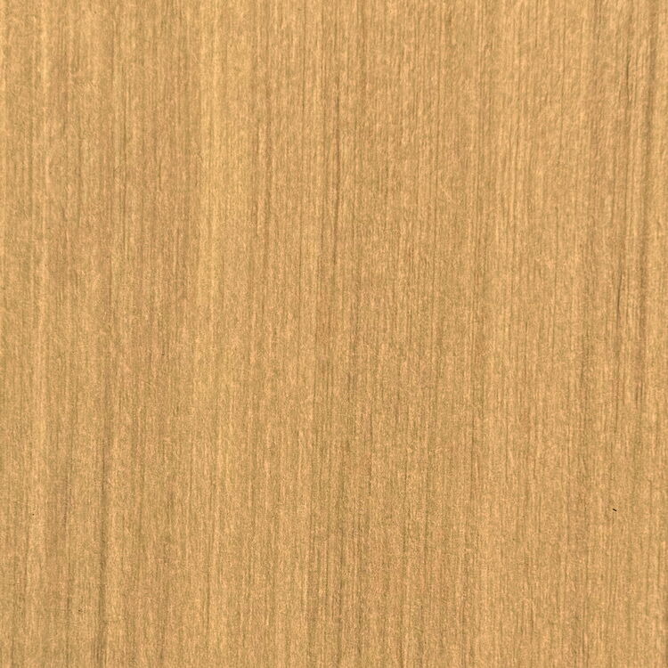 Smooth-Birch-on-Cream-15P-42