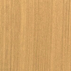 Smooth-Birch-on-Cream-15P-42