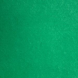 95 Shamrock