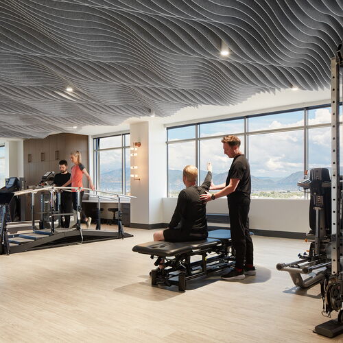 Modern Gym Facility with Clients Using Equipment and Trainer Assisting a Client