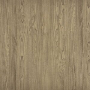 Grey Wood Texture with Natural Grain Patterns