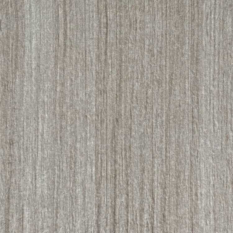 Smooth Birch on White