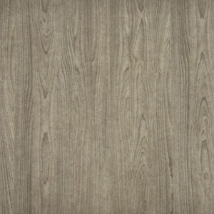 Close-Up of Grey Wood Grain Texture on a Flat Surface
