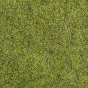 Close-Up View of Green Grass Texture, Suitable for Backgrounds or Wallpaper