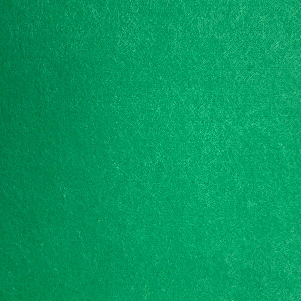 95 Shamrock