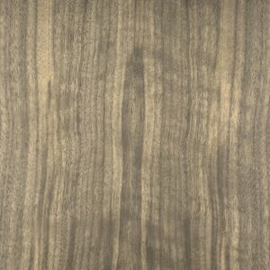 Close-up of a Gray Wood Grain Texture with Natural Patterns