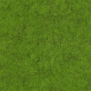 Close-Up View of a Green Textured Surface