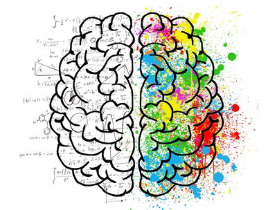 Artistic Representation of a Brain Divided into a Black and White Mathematical Left Side and a Colorful, Creative Right Side