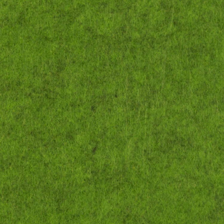 Close-Up View of a Green Textured Surface
